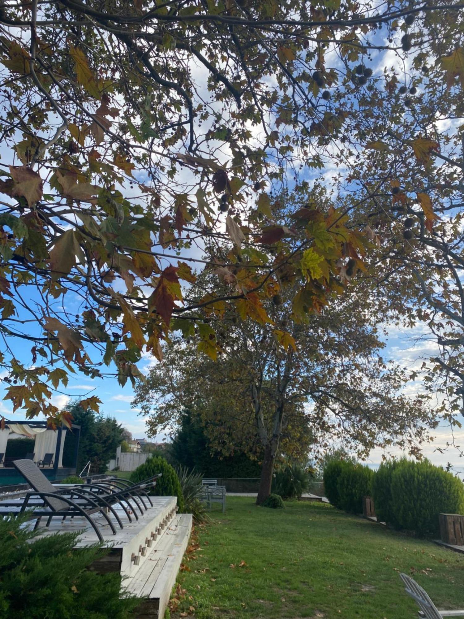 Pia Mare Otel Gunduzlu Buitenkant foto