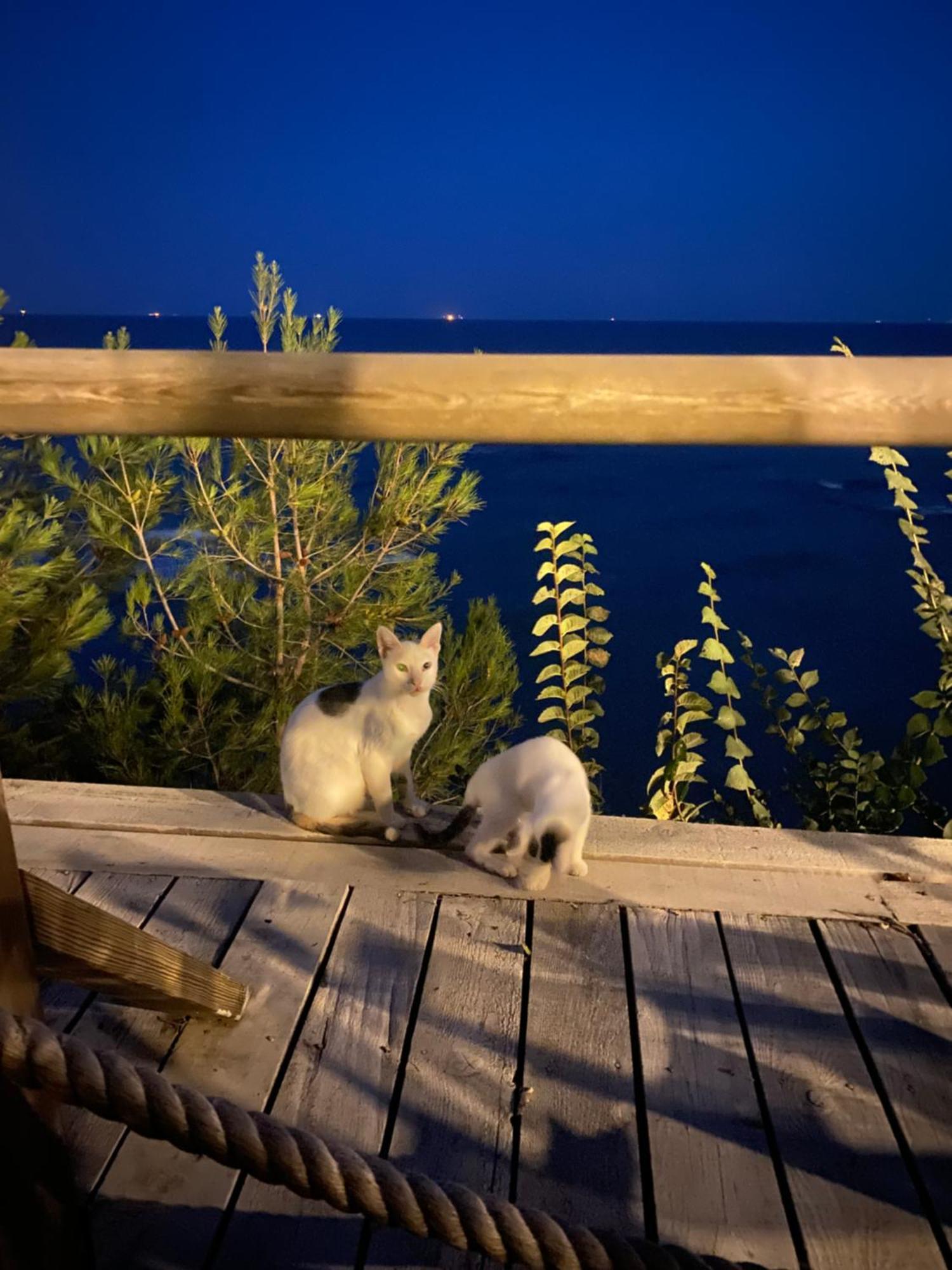 Pia Mare Otel Gunduzlu Buitenkant foto
